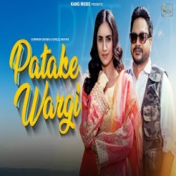 Patake Wargi - Gurmukh Doabia, Gurlez Akhtar Mp3 Song
