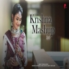 Krishna Mashup 3.0 - Priyanka Kapadiya