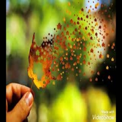 Huyi Aankh Nam Aur Yeh Dil Muskuraya (Jhankar Beats) - Anuradha Paudwal Mp3 Song