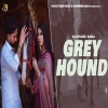 Greyhound - Surinder Baba