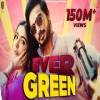 Evergreen - Jigar