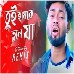 Tui Hamke Bhule Ja - Remix Mp3 Song