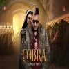 Cobra - Jazzy B