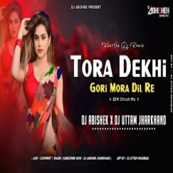 Tora Dekhi Gori Mora Dil Re DJ Mp3 Song