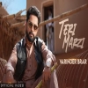 Teri Marzi - Varinder Brar