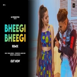 Bheegi Bheegi Remix Rap - ZB Mp3 Song