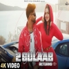 2 Gulaab Returns - Billa Sonipat Ala