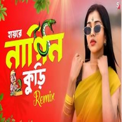 Hay Re Nagin Guri Remix Mp3 Song