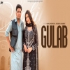 Gulab - Sahil Mehrok, Sudesh Kumari