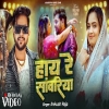 Hay Re Sanwariya - Ankush Raja