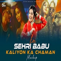 Koi Sehri Babu X Kaliyon Ka Chaman - Emiway Bantai X Divine Mp3 Song