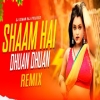 Sham Hai Dhua Dhua Remix