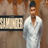 Samunder - Tiger