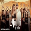 Habibi in India - Groovy K