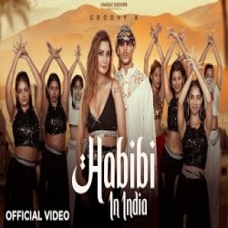 Habibi in India - Groovy K Mp3 Song