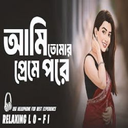 Ami Tomar Preme Pore - Bangla Lo FI Mp3 Song