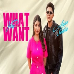 What You Want - Arjun Sahota, Gurlez Akhtar Mp3 Song