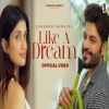 Like A Dream - Sangram Hannjra