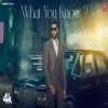 WHAT YOU KNOW - Avkash Mann