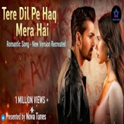 Tere Dil Pe Haq Mera Hai - Romantic Song Mp3 Song